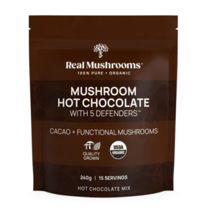 real-mushrooms-hot-chocolate