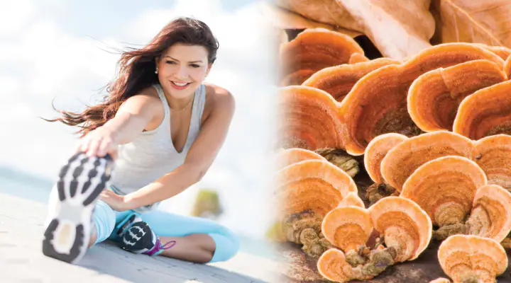 is-a-mushroom-diet-good-for-weight-loss
